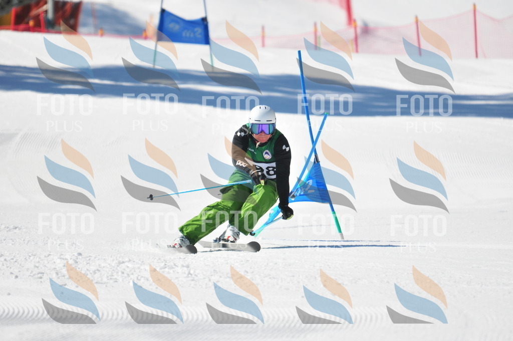 C4446 | holidayphoto