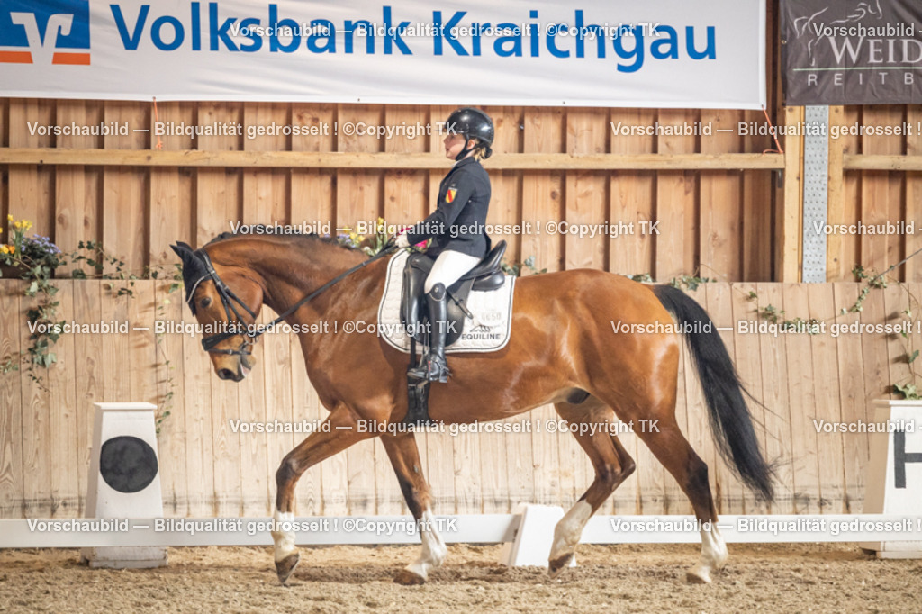 _D5A1463 | Emotionale Pferde- & People-Fotografie rund um Heidelberg, Leimen & Umgebung. Natürliche Fotos von Pferd, Mensch & Familie. Jetzt Termin sichern!