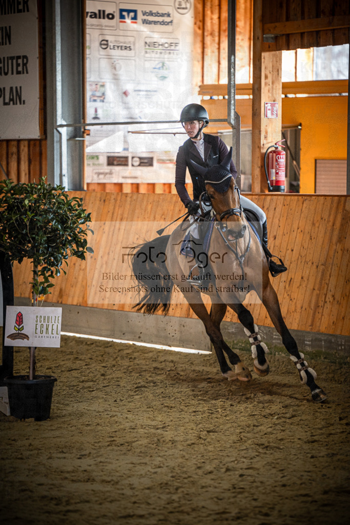 DOS_1295 | Entdecke hochwertige Reitturnierfotos von Foto Oger. Professionell, emotional und authentisch – jetzt Lieblingsmomente im Shop bestellen.Deutschlandweite Turnierfotografie. - Realisiert mit Pictrs.com