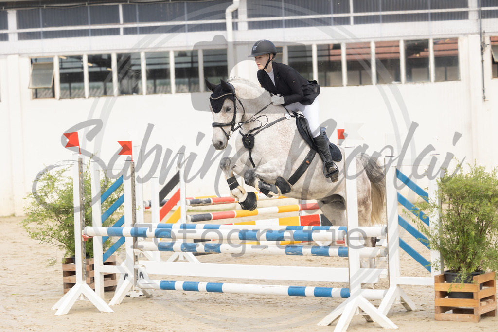 994A9376 | sabrinanicolaifotografie - Realisiert mit Pictrs.com