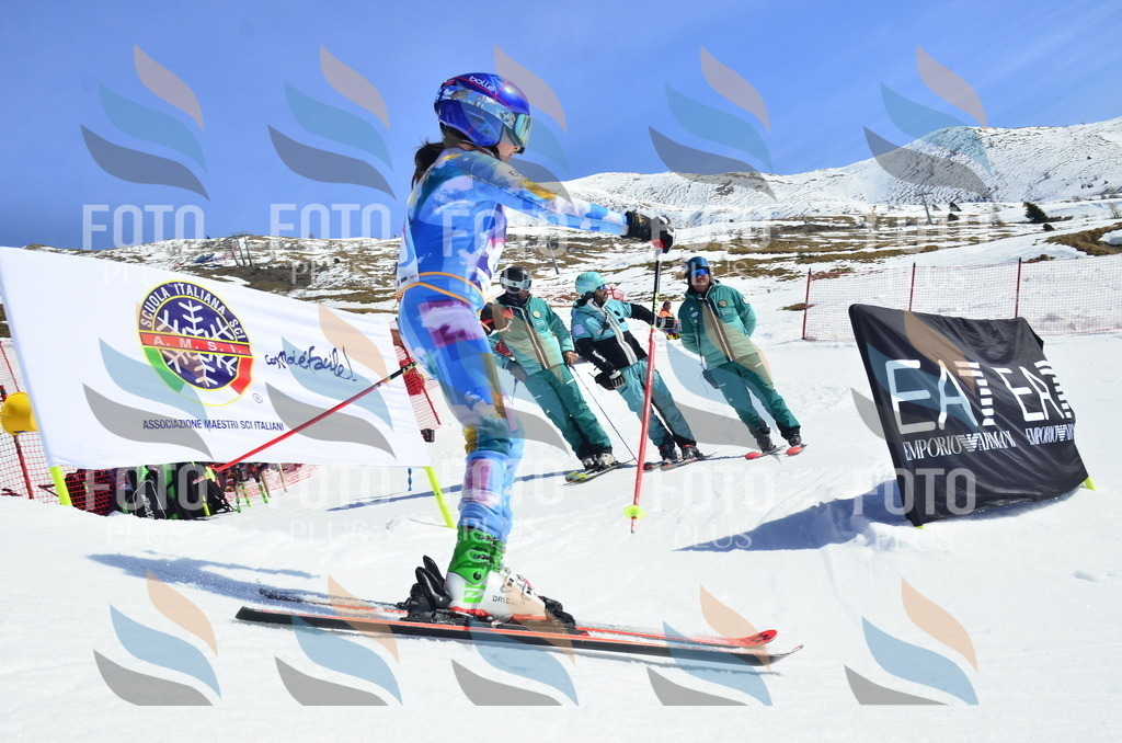 _ELE0175 | holidayphoto