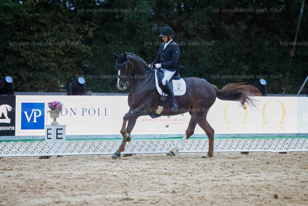 04_2-240-Dressur M__ -StoibPH-3043 | working equitationturnier fotograf videograf stoibphotography marixx film working equitation deutschland reitsport turnierfotografie eventfotografie equestrian events