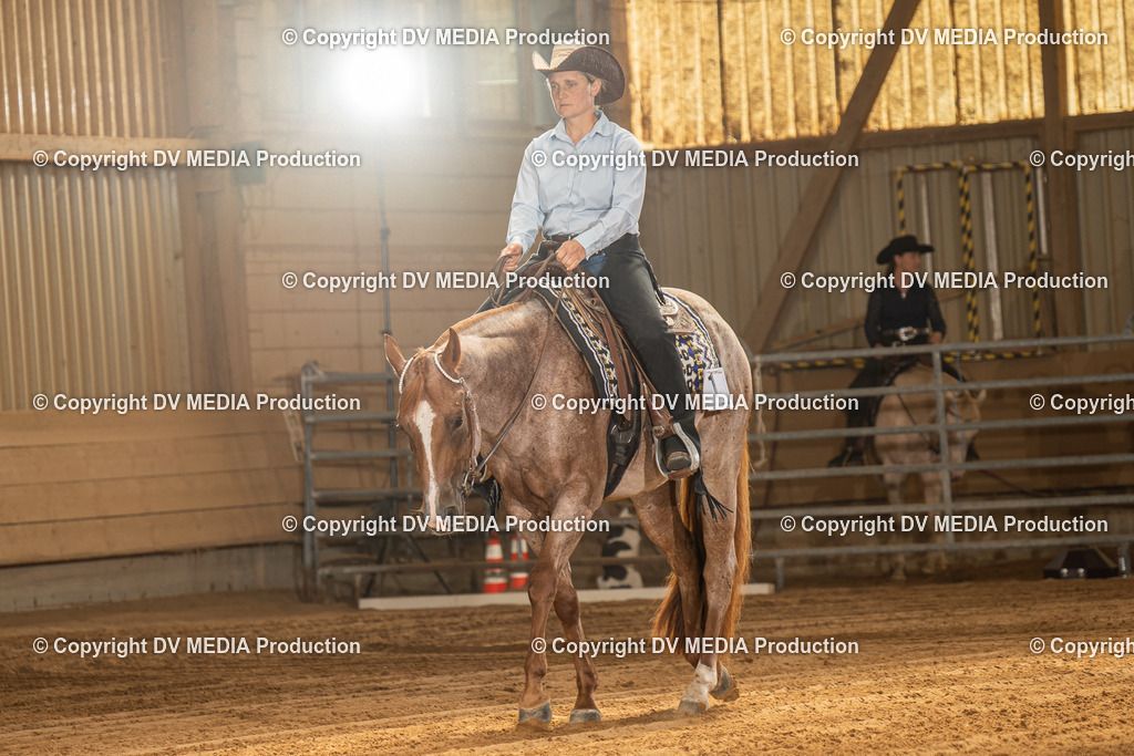 NID03203 | dv-media-shop - Realisiert mit Pictrs.com