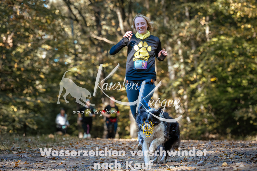 1137_ZZ92866 | kk-dogfotos