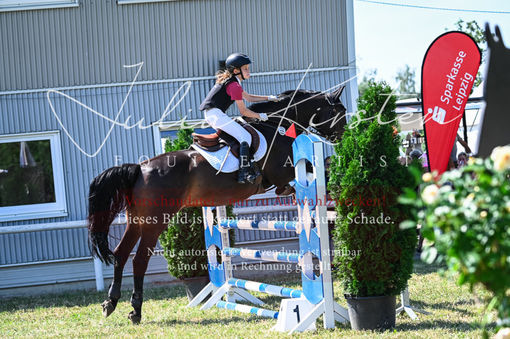 DSC_1150 | Pferde- und Turnierfotografie in Westsachsen. Pferdeportraits, Auftragszeichnungen und intuitive Kunst.