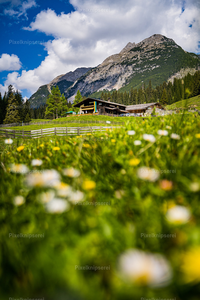 Gaistalalm | Fotograf Tirol Imst Pixelknipserei