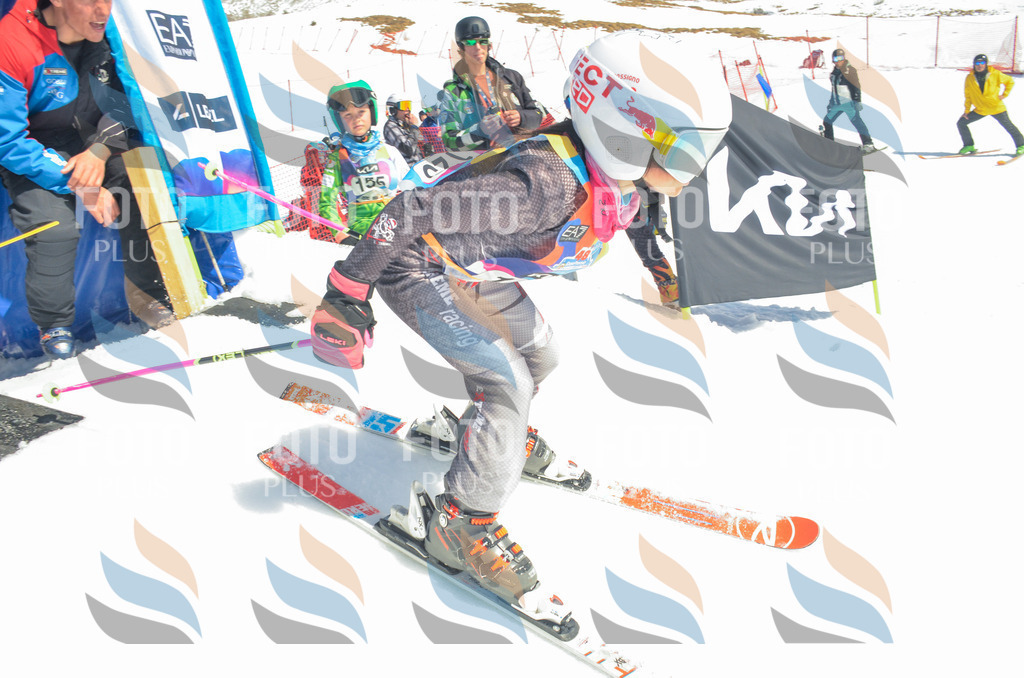 _ELE6033 | holidayphoto