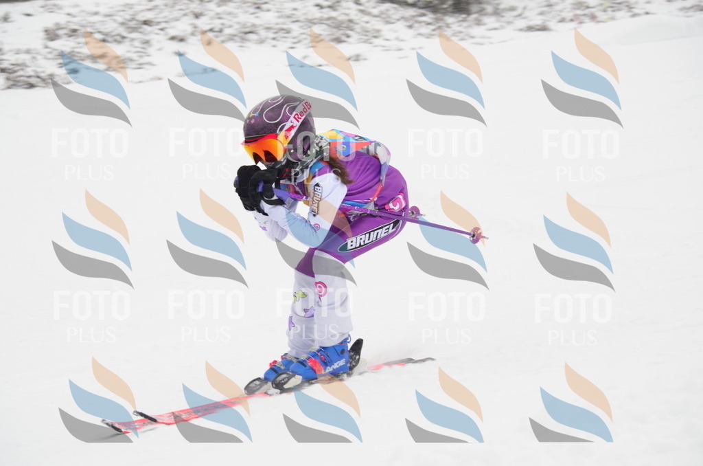 C0609 | holidayphoto