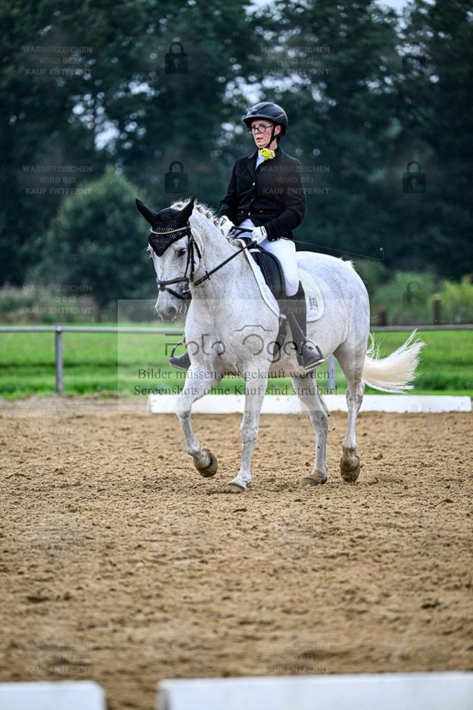 Reitturnier Hasbergen | Entdecke hochwertige Reitturnierfotos von Foto Oger. Professionell, emotional und authentisch – jetzt Lieblingsmomente im Shop bestellen. - Realisiert mit Pictrs.com