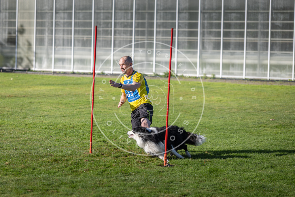 Pfotenfotografie.de_DV3A3465 | Hundefotografie, Tierfotograf, Pfotenfotografie, Fotoshooting Hund, Hunde Portrait, Hundesport, Hundeportraits, Heideshooting, Hunde, Sportfotograf, Hundefotograf, Turnierhundsport, THS, canicross - Realisiert mit Pictrs.com