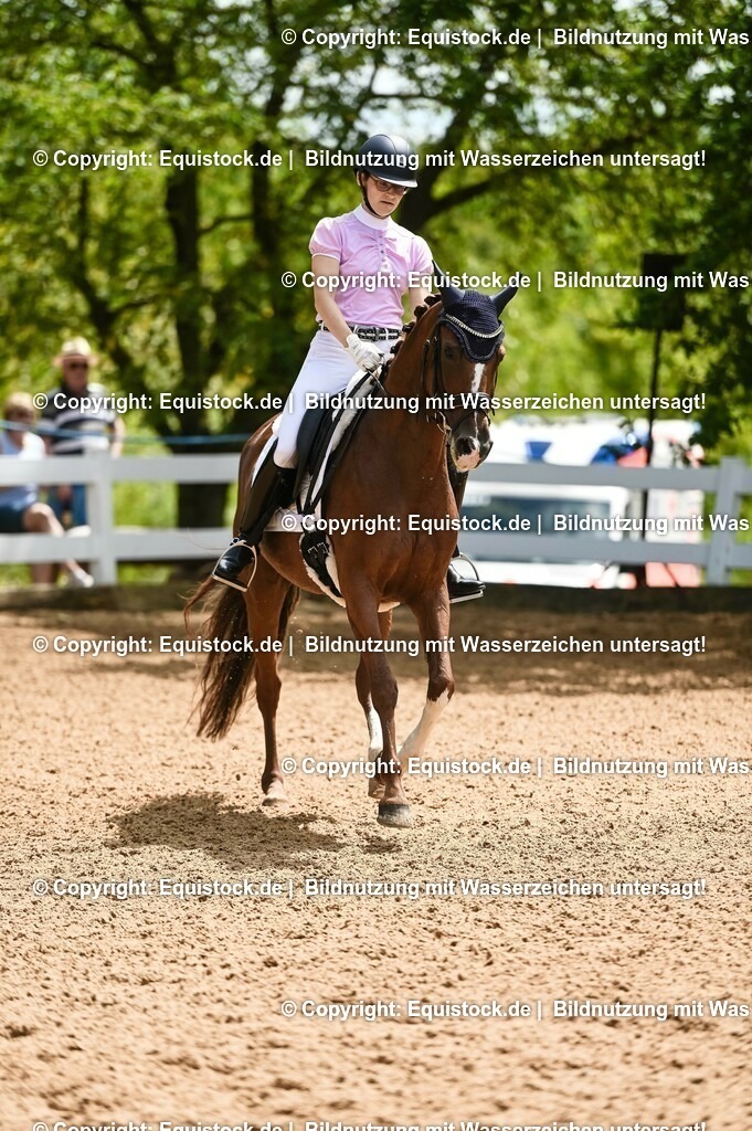 20230716_03_Dressurprfg. Kl.L - Tr._0227 | equistock