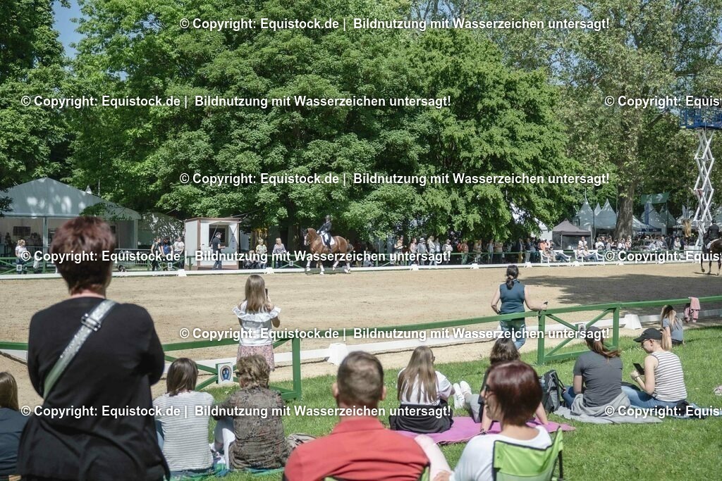 ZFC_3980 | equistock