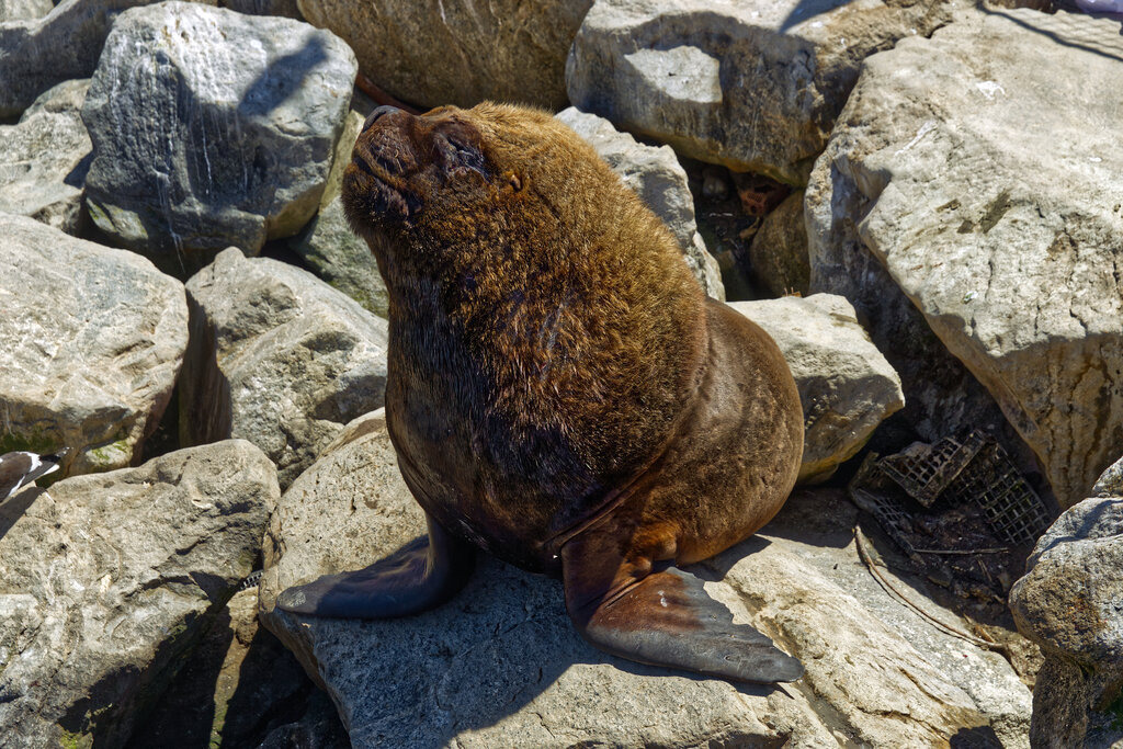 1H5A3319a | ansichtssache