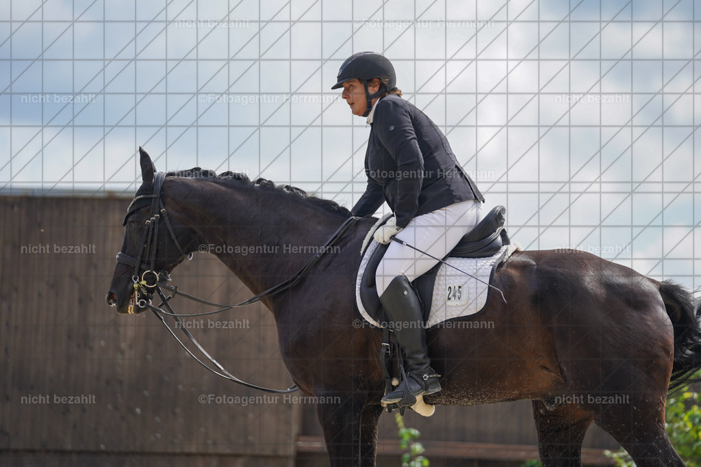 20230826-FAH05778 | Forstinning, 2023, Dressurturnier, Turniersportbilder, Turnierfotografen Bayern, Fotoagentur Herrmann, Reitsportfotografie, Turnierbilder
