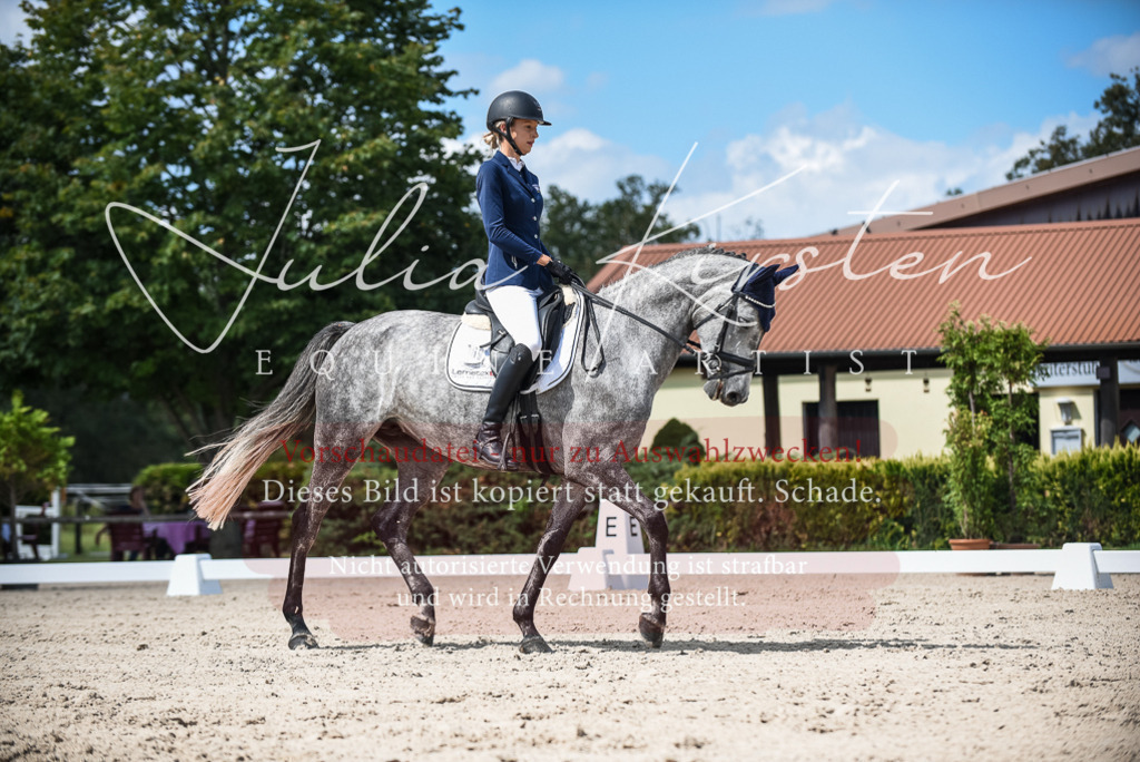 DSC_9255 | Pferde- und Turnierfotografie in Westsachsen. Pferdeportraits, Auftragszeichnungen und intuitive Kunst.