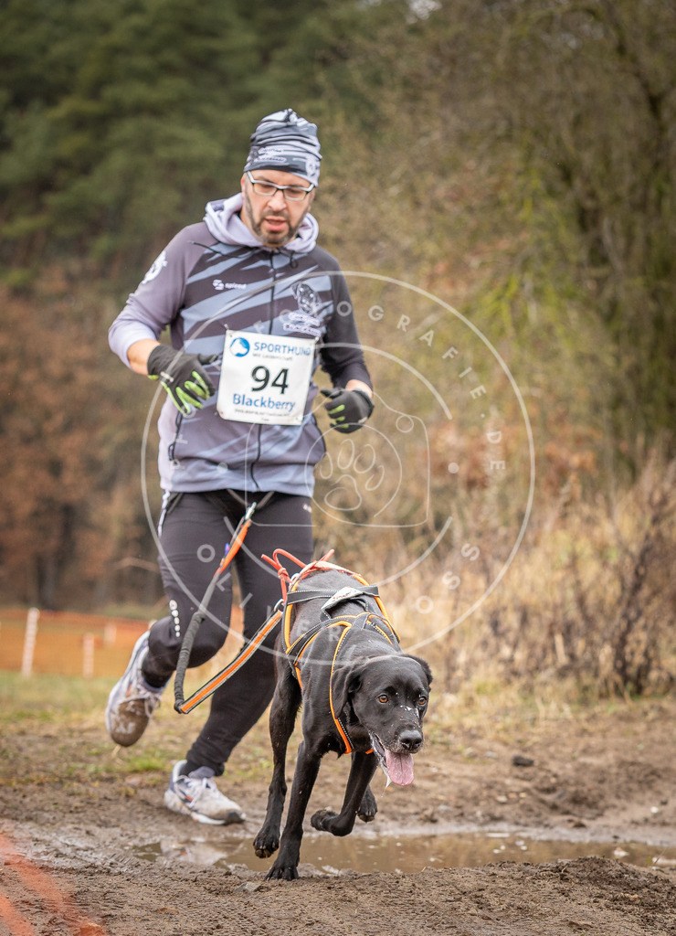 DV3A0513 | Hundefotografie, Tierfotograf, Pfotenfotografie, Fotoshooting Hund, Hunde Portrait, Hundesport, Hundeportraits, Heideshooting, Hunde, Sportfotograf, Hundefotograf, Turnierhundsport, THS,  - Realisiert mit Pictrs.com