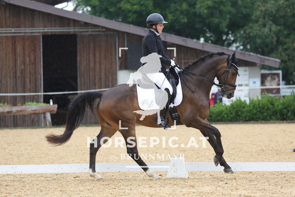 0P6A0563 | Willkommen bei Brunnmayr - Design & Fotografie – Ihrem Spezialisten für Reitturniere und Pferdeveranstaltungen in Oberösterreich, Salzburg und Bayern! Seit über 17 Jahren sind wir leidenschaftlich dabei.