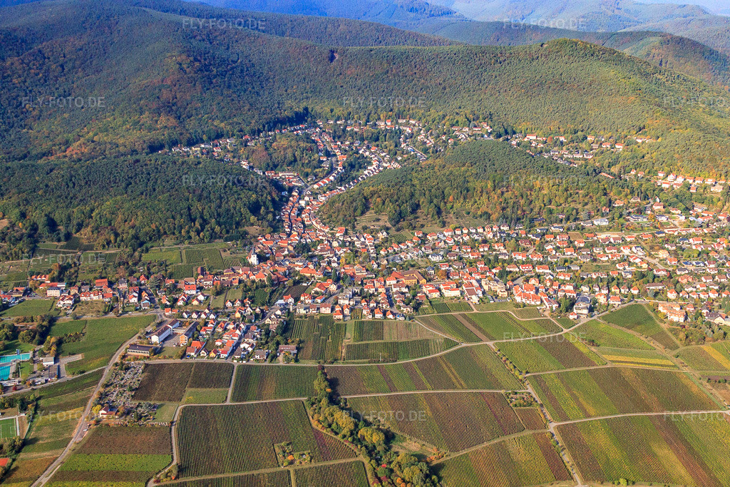 Luftbild: Ortsansicht von Osten im Ortsteil Hambach an der Weinstraße in Neustadt im Bundesland Rheinland-Pfalz in Deutschland. Foto: IMG_22086.jpg vom 15.10.2009 durch Werner Riehm/FLY-FOTO.de