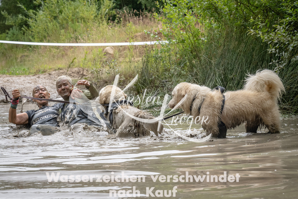 1445_ZZ93675 | kk-dogfotos