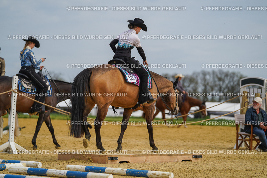 DSC03709 | Pferdegrafie