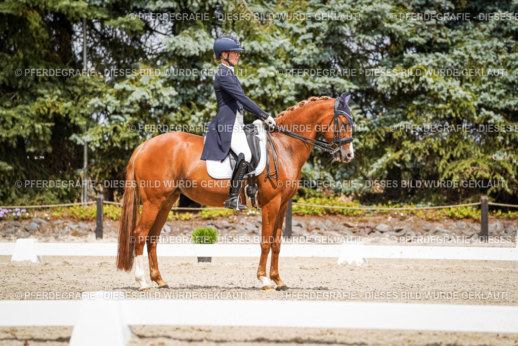 DSC06151 | Pferdegrafie