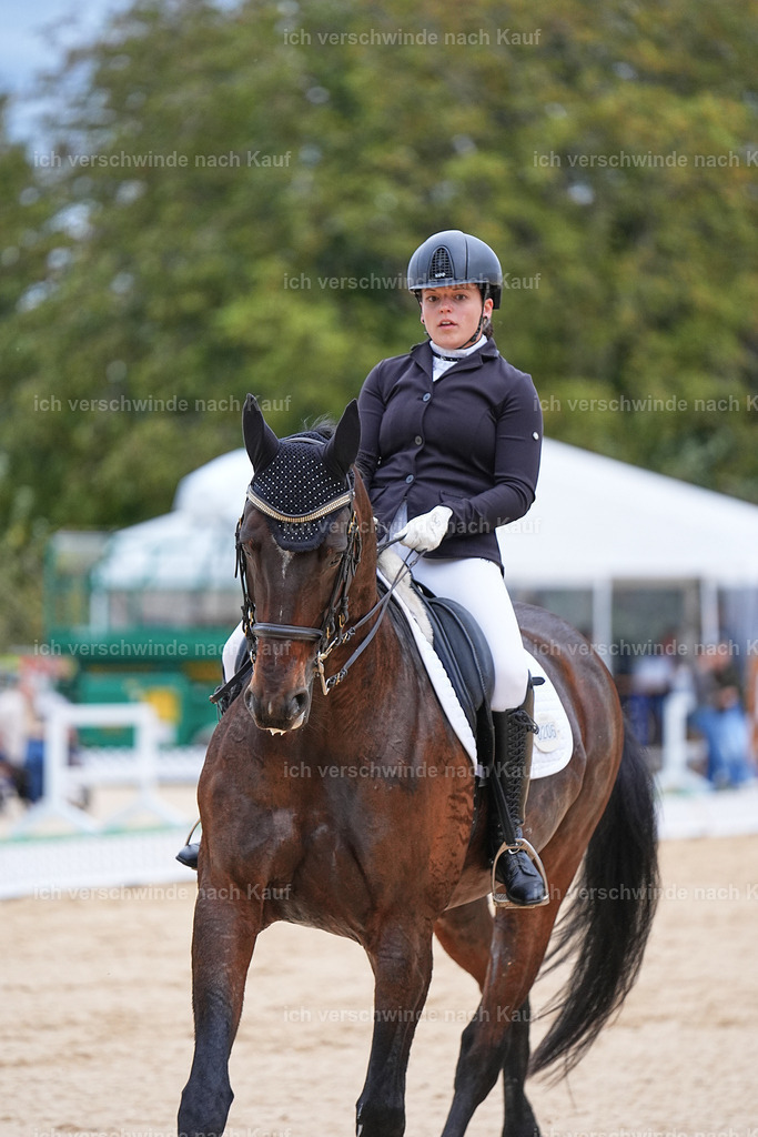 04_2-206-Dressur M__ -Marixx-3054 | working equitationturnier fotograf videograf stoibphotography marixx film working equitation deutschland reitsport turnierfotografie eventfotografie equestrian events