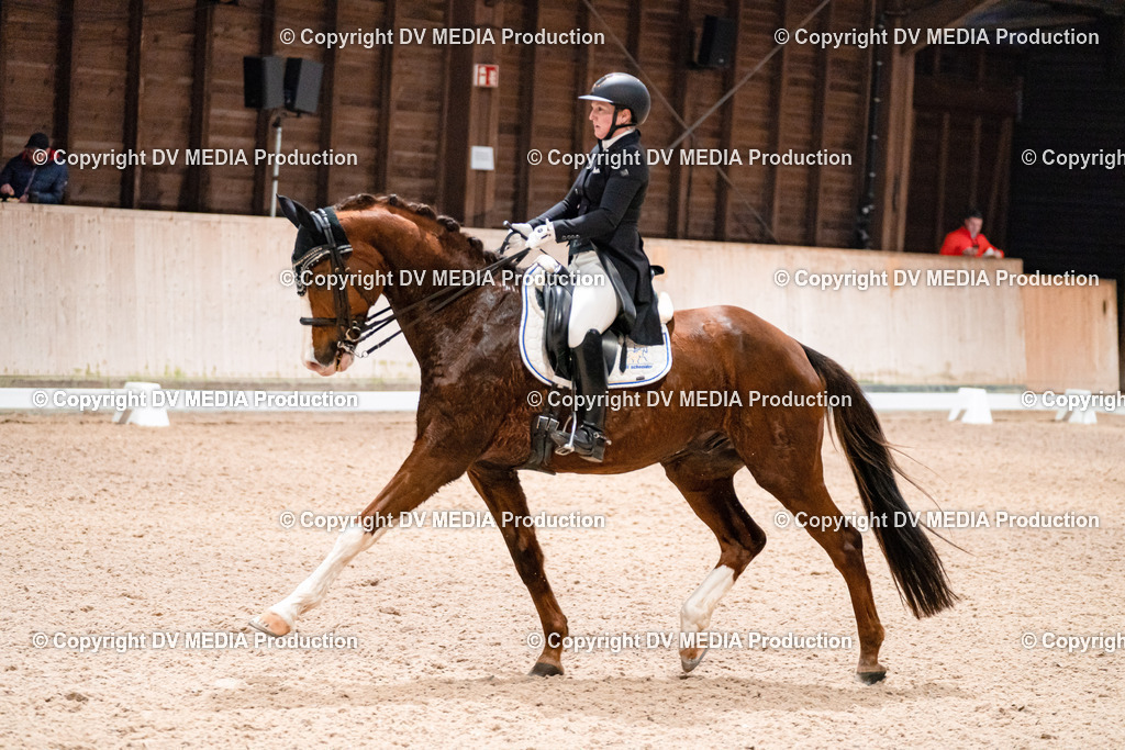 Dressur Tag 2-647 | dv-media-shop - Realisiert mit Pictrs.com