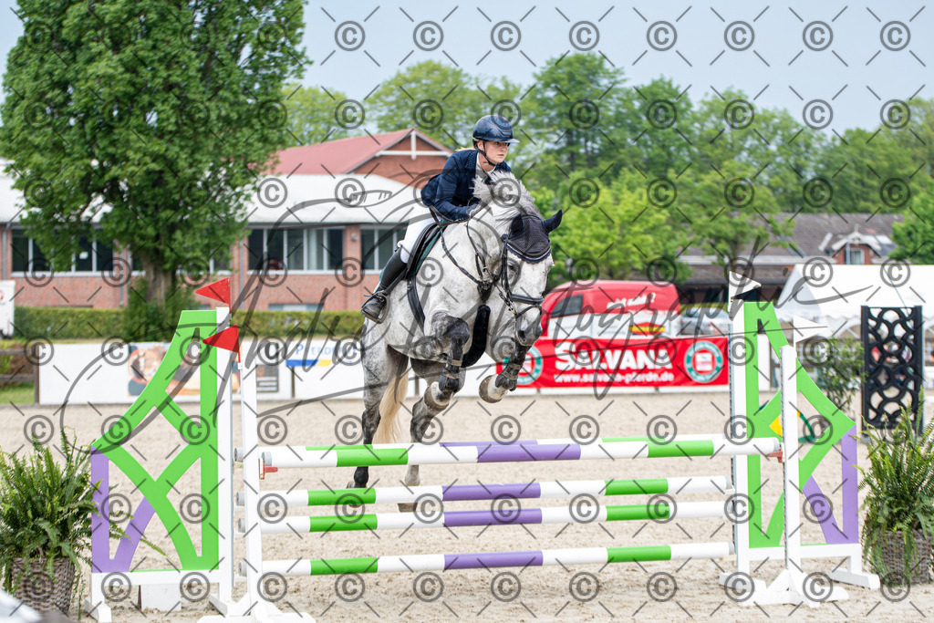 KPT_2871 | andre_photographic