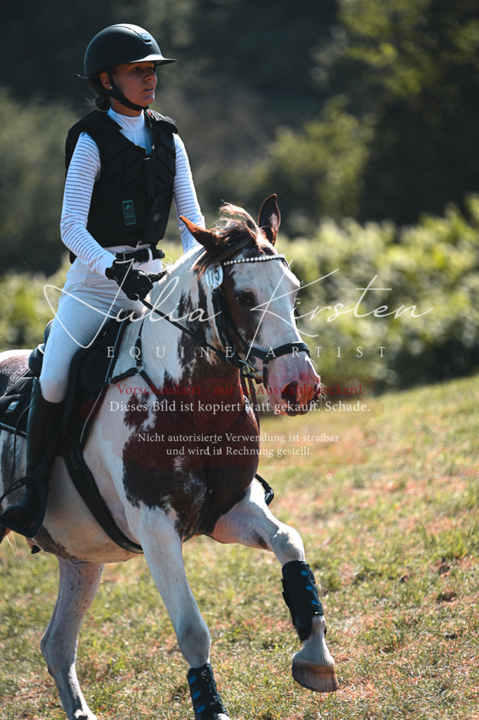 DSC_8102 | Pferde- und Turnierfotografie in Westsachsen. Pferdeportraits, Auftragszeichnungen und intuitive Kunst.