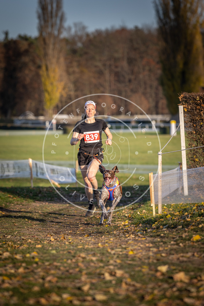 CaniXpix_DV3A3559 | Hundefotografie, Tierfotograf, Pfotenfotografie, Fotoshooting Hund, Hunde Portrait, Hundesport, Hundeportraits, Heideshooting, Hunde, Sportfotograf, Hundefotograf, Turnierhundsport, THS,  - Realisiert mit Pictrs.com