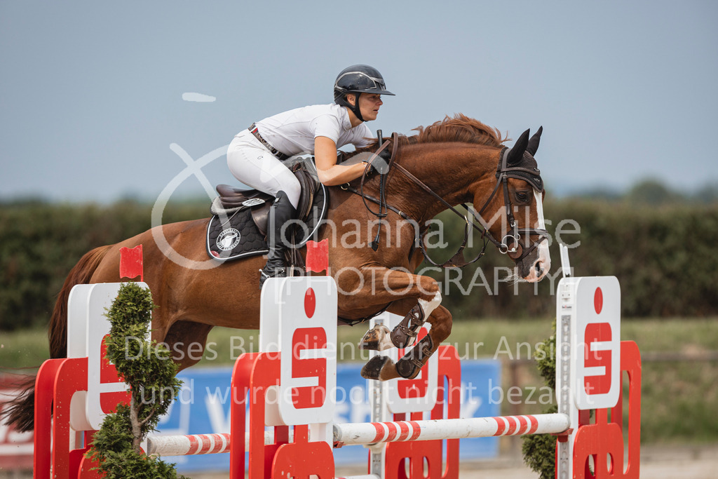 240627_LüPfSpTa_SprPf-L-115 | Deine schönsten Turniermomente als professionelle Fotos! Entdecke hochwertige Pferdesport-Fotografie im Online-Shop. Jetzt Fotos finden & bestellen!