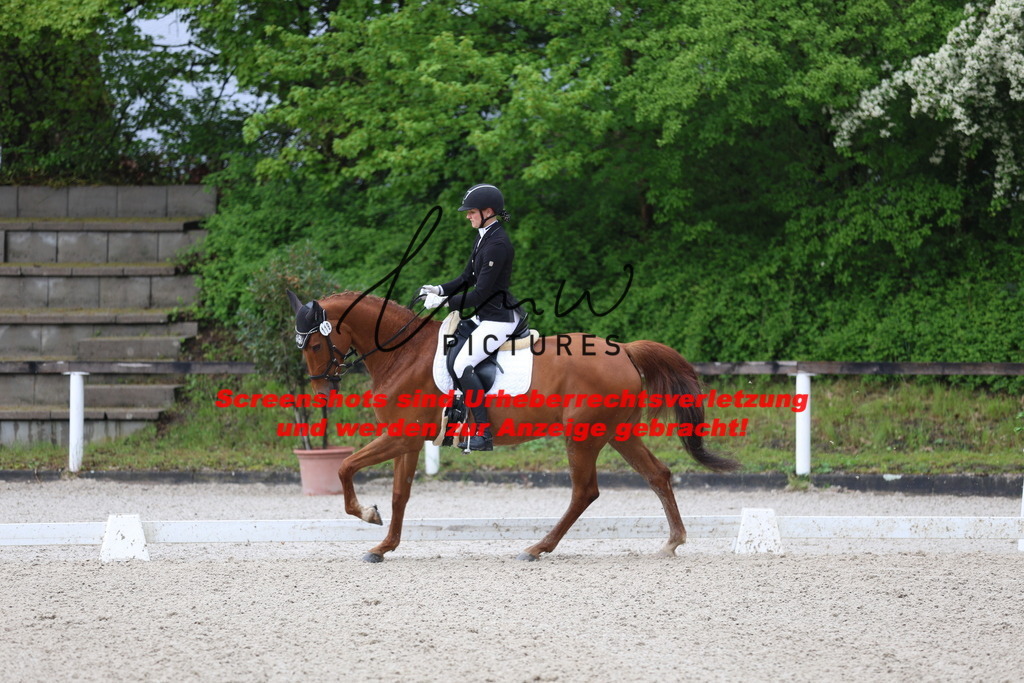 A40A8420 | lmwpictures - Realisiert mit Pictrs.com