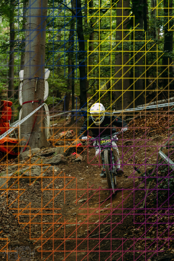 PAE-1661 | Einzigartige Fotokunst für dein Zuhause: Entdecke hochwertige Wandbilder, edle Prints und emotionale Motive von Wildlife, Natur und Landschaften - Realisiert mit Pictrs.com