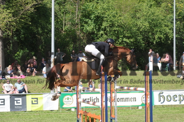 Forst_2024_Prfg.Nr.01_Springprfg_Kl.S_Maren Steinhilper_Bibi Blocksberg 26_Siegerrunde (5) | Alle Fotos der Reiterjournal Fotografin Doris Matthaes im Reiterjournal Online-Fotoshop. - Realisiert mit Pictrs.com