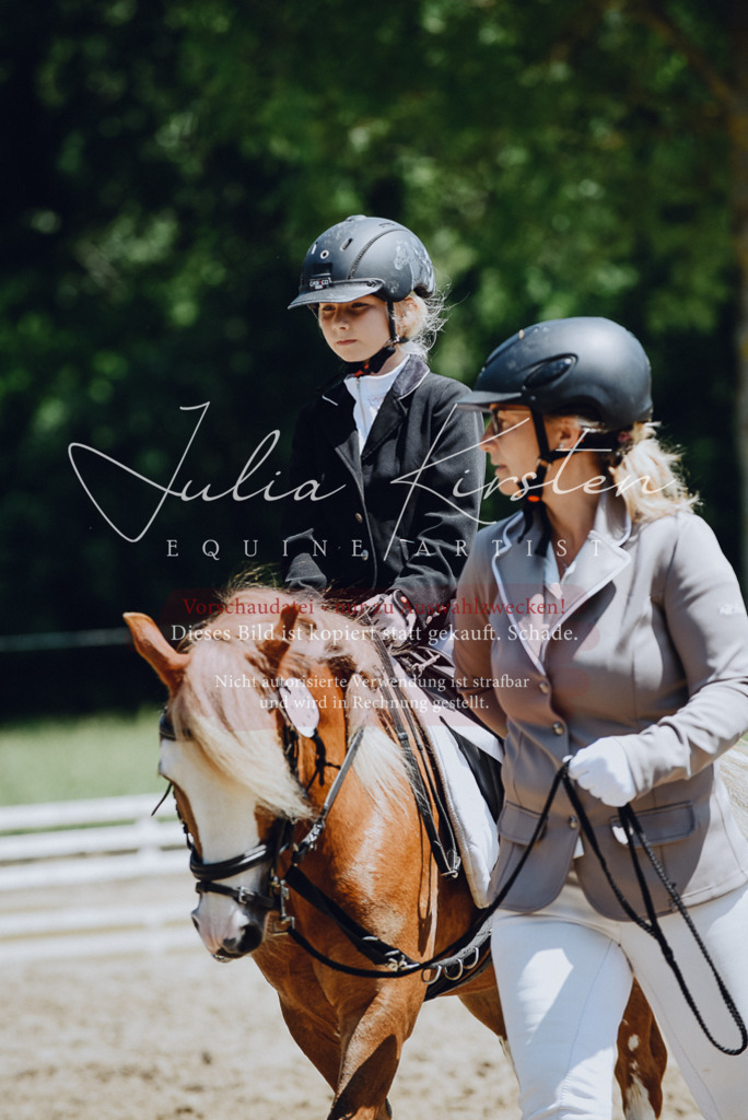 DSC_2124 | Pferde- und Turnierfotografie in Westsachsen. Pferdeportraits, Auftragszeichnungen und intuitive Kunst.