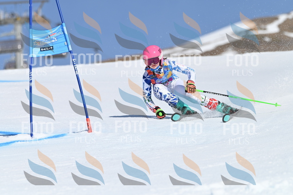 BGV_8668 | holidayphoto