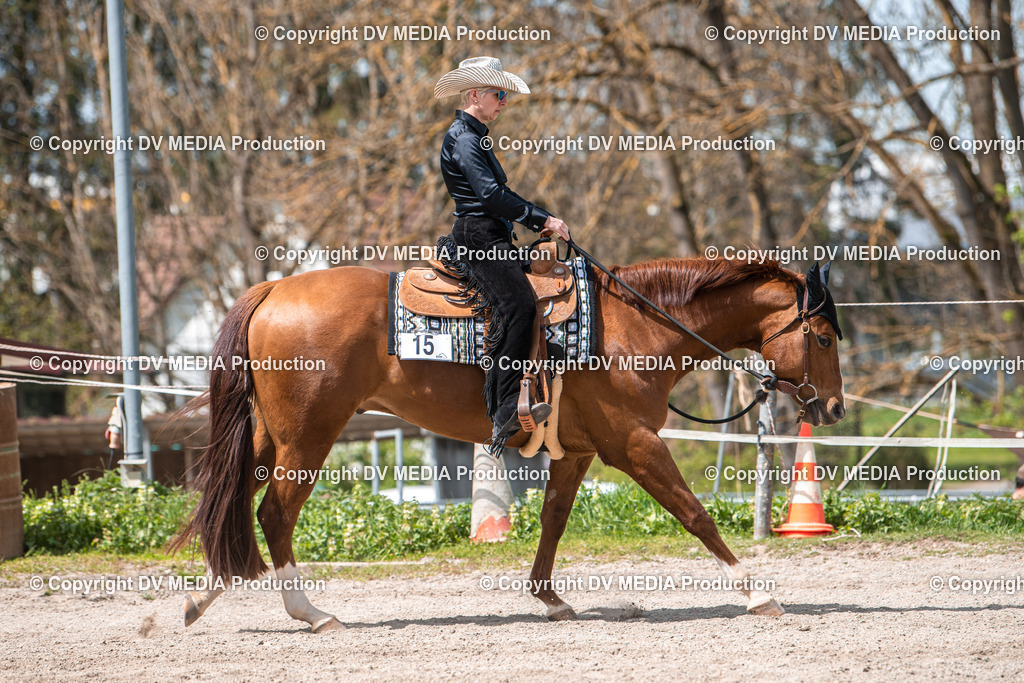 Balingen Tag 4-679 | dv-media-shop - Realisiert mit Pictrs.com