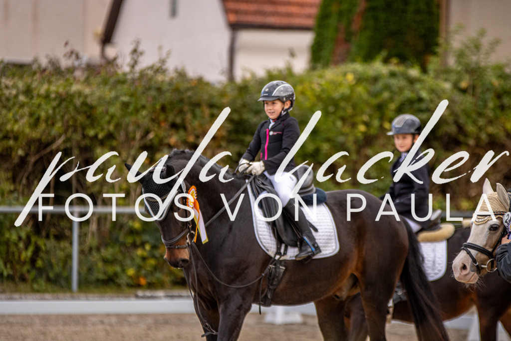 IMG_3604 | Erleben Sie dynamische Sport- und emotionale Tierfotografie in Süddeutschland mit Fotos von Paula. Spezialisiert auf Pferde- und Hundefotografie sowie Sportevents. Kontaktieren Sie mich für einzigartige und ausdrucksstarke Bilder Ihrer besonderen Momente. - Realisiert mit Pictrs.com