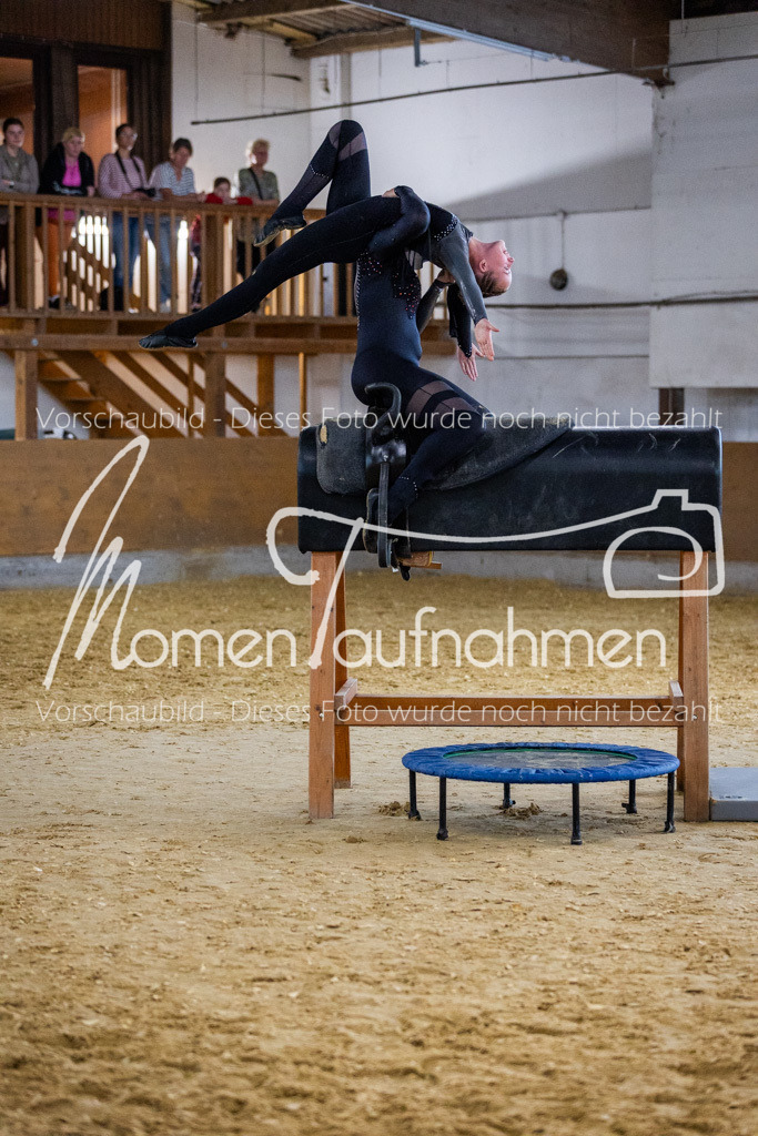 Holzpferd-029 | MomenTaufnahmen Pferdesportfotos