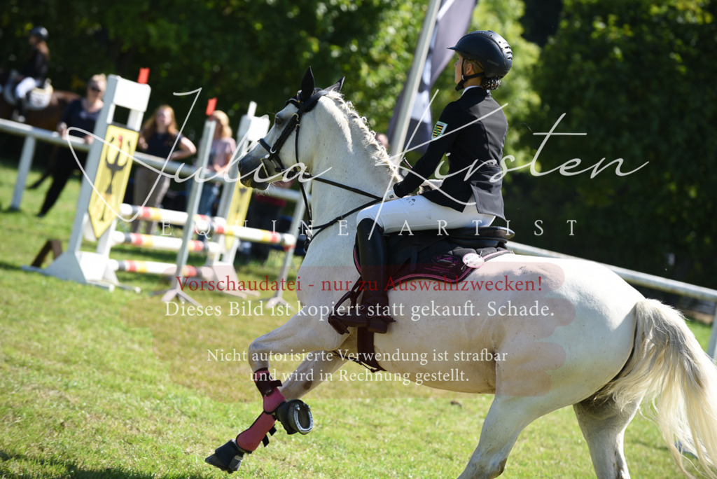 DSC_9478 | Pferde- und Turnierfotografie in Westsachsen. Pferdeportraits, Auftragszeichnungen und intuitive Kunst.