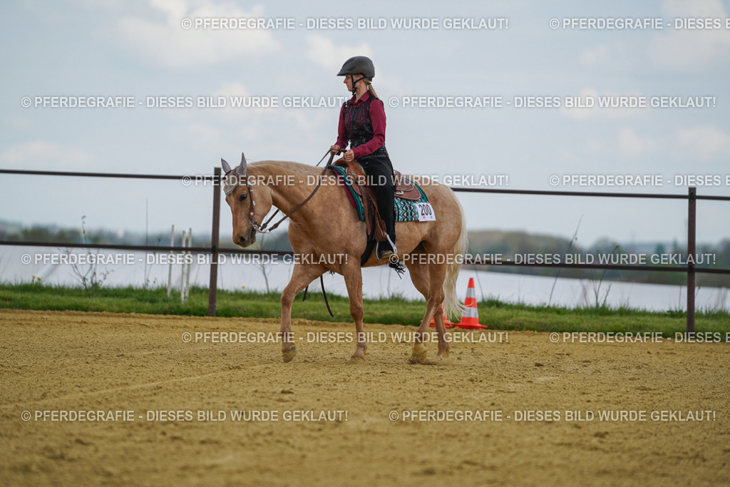 DSC05774 | Pferdegrafie