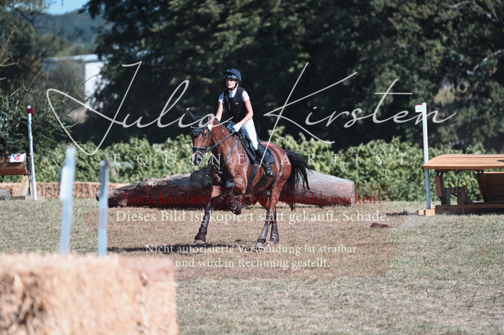 DSC_8605-2 | Pferde- und Turnierfotografie in Westsachsen. Pferdeportraits, Auftragszeichnungen und intuitive Kunst.