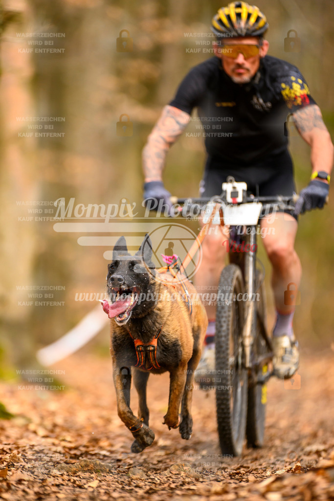 MompixPhotography_Habay2025_SA_Bike-102 | mompixphotography