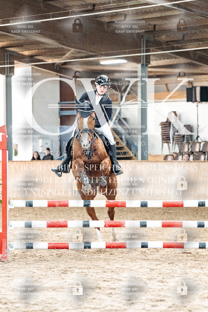 CK904131 | Turnierfotografie Pferdefotografie Trier Rheinland-Pfalz Pferdesport Reitsport Tierfotografie Sportfotografie Pferdevideo Pferdevideografie Equestrianvideography equestrianphotography  - Realized with Pictrs.com