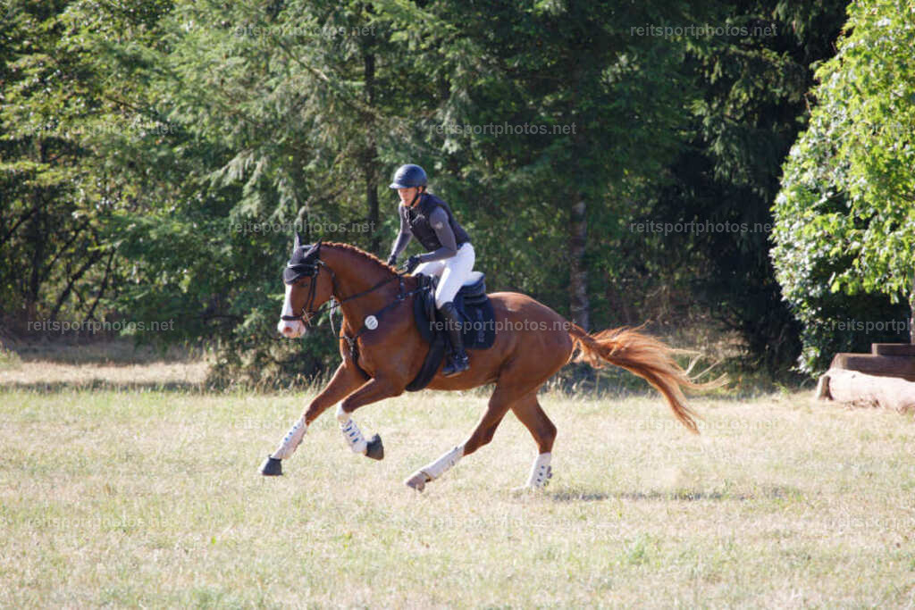 JHE_0799 | JoYa Fotografie - Realisiert mit Pictrs.com