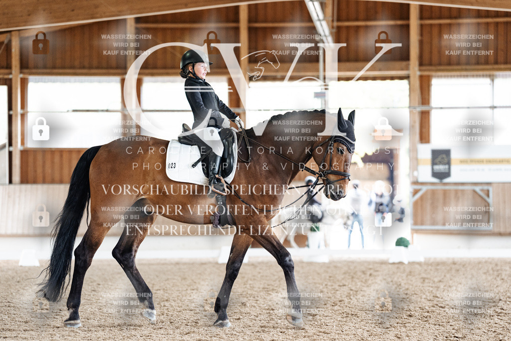 CK900846 | Turnierfotografie Pferdefotografie Trier Rheinland-Pfalz Pferdesport Reitsport Tierfotografie Sportfotografie Pferdevideo Pferdevideografie Equestrianvideography equestrianphotography  - Realisiert mit Pictrs.com