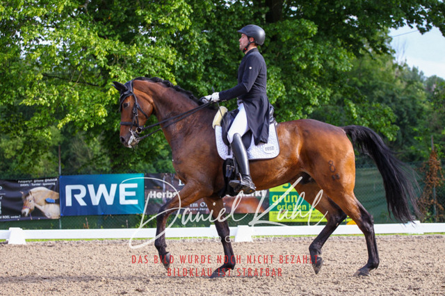 DKP41750 | Deine Turnierfotos vom Reitturnier online kaufen: Dressur, Springen & Siegerehrung. Professionelle Pferdefotografie aus dem Rheinland – als Download & Print.Alternative: Turnierfotograf für den Pferdesport: Finde deine Fotos von Dressur- und Springturnier
