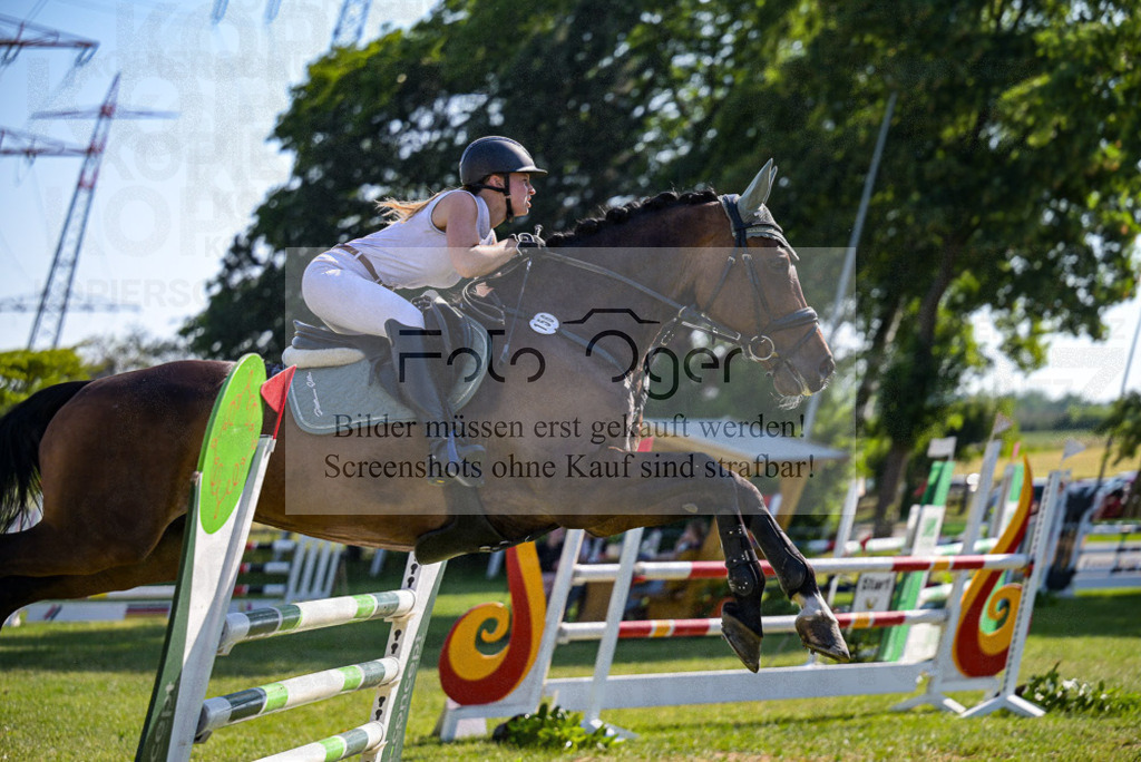 Reitturnier Voxtrup | Entdecke hochwertige Reitturnierfotos von Foto Oger. Professionell, emotional und authentisch – jetzt Lieblingsmomente im Shop bestellen.Deutschlandweite Turnierfotografie. - Realisiert mit Pictrs.com