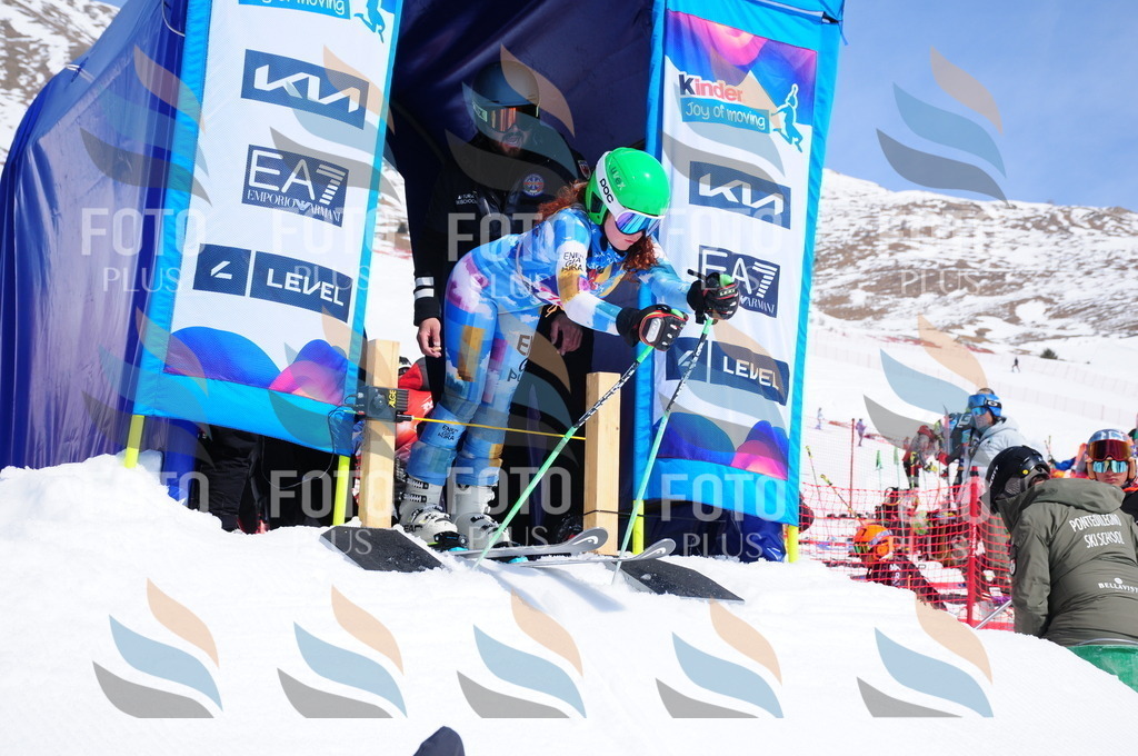 DSC_5579 | holidayphoto