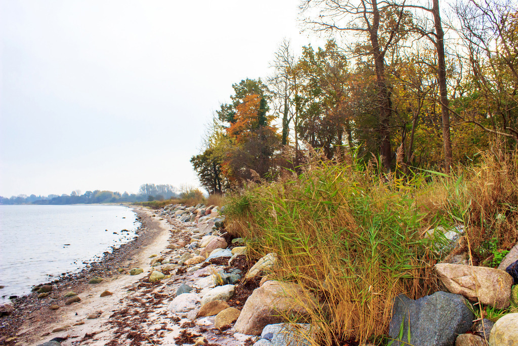 Wandbild: Herbstlicher Strand in Ohrfeldhaff | Dieses Wandbild im Querformat zeigt den Strand in Ohrfeldhaff im Herbst. Auf der rechten Seite befinden sich herbstliche Bäume.  - Realisiert mit Pictrs.com
